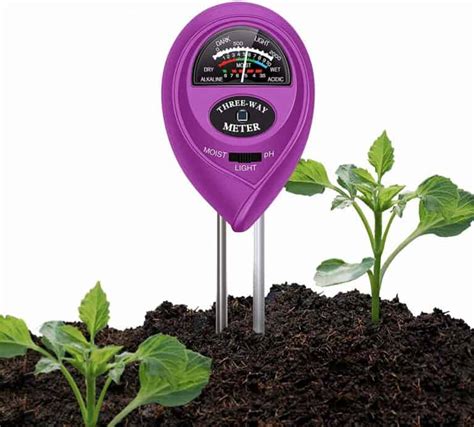 moisture meter number for zz plant|how often to water zz plant.